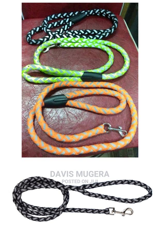 Reflective Dog Leash Night Visibility - thumbnail 3