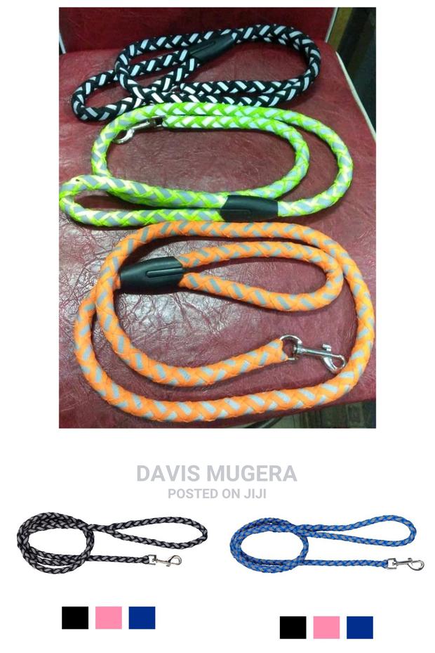 Reflective Dog Leash Night Visibility - thumbnail 4