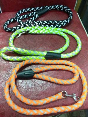 Reflective Dog Leash Night Visibility - thumbnail 2
