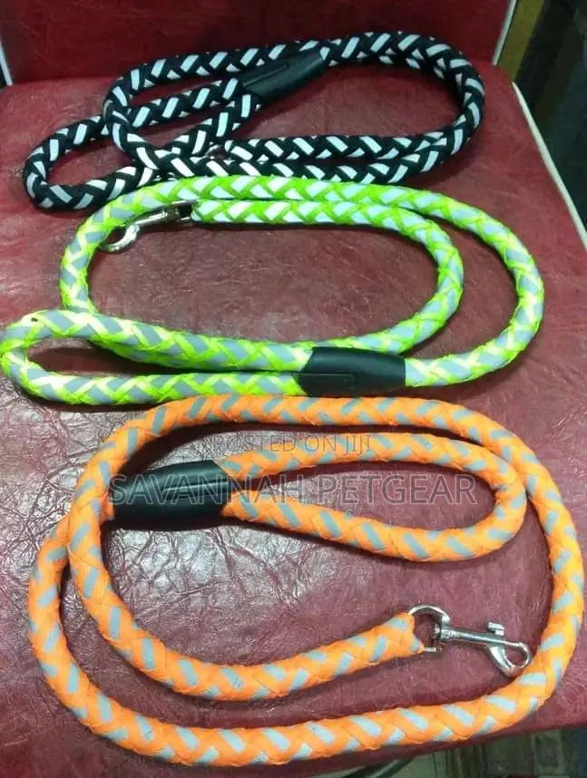 Reflective Dog Leash Night Visibility