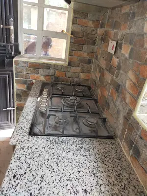 Granite (Black N White}