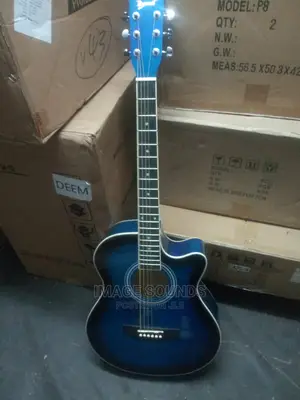 Acoustic Guitar- Ibanez