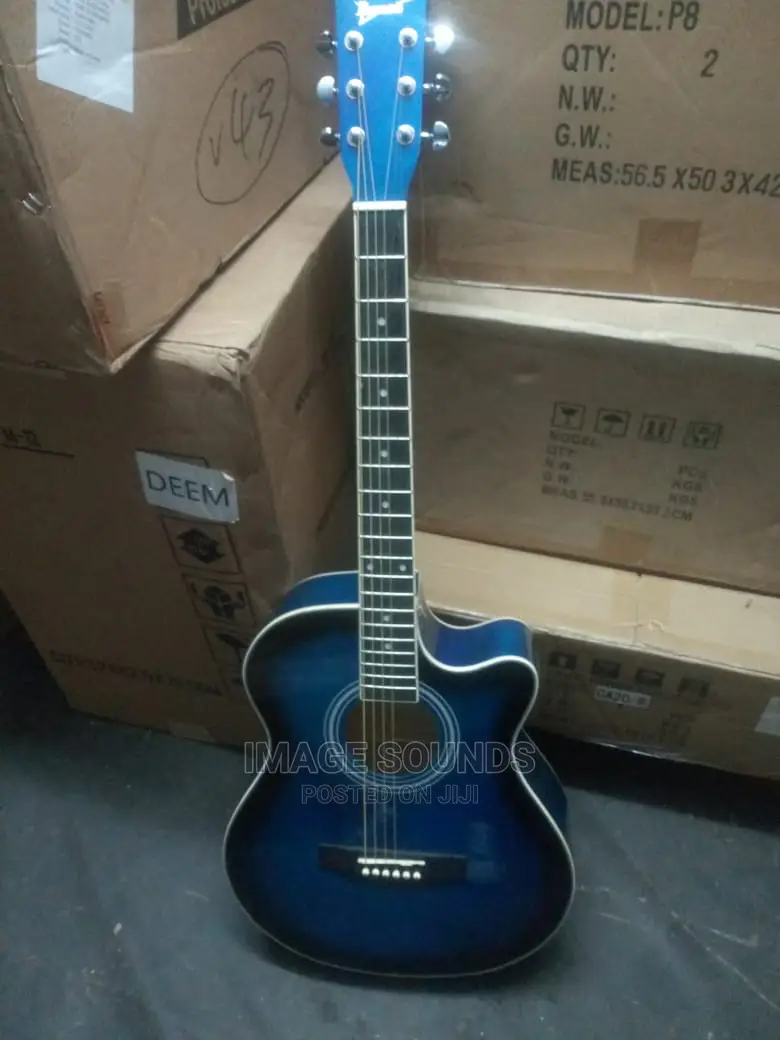 Acoustic Guitar- Ibanez