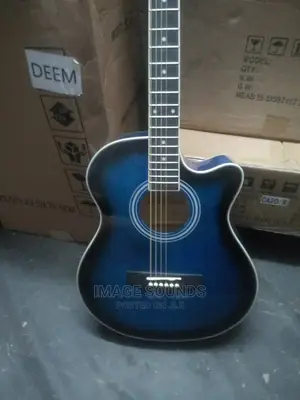 Acoustic Guitar- Ibanez
