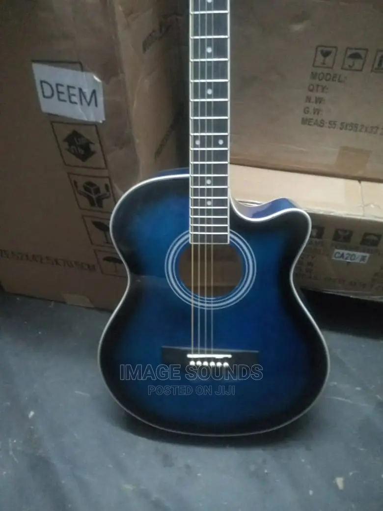 Acoustic Guitar- Ibanez