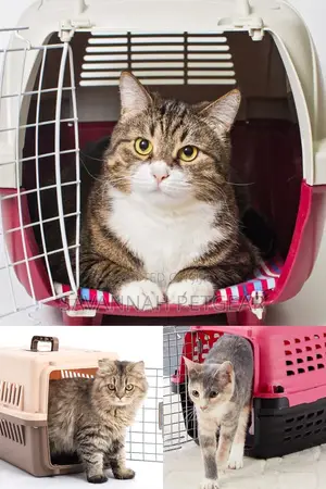 Best Airline Cat Carriers Cat Cages