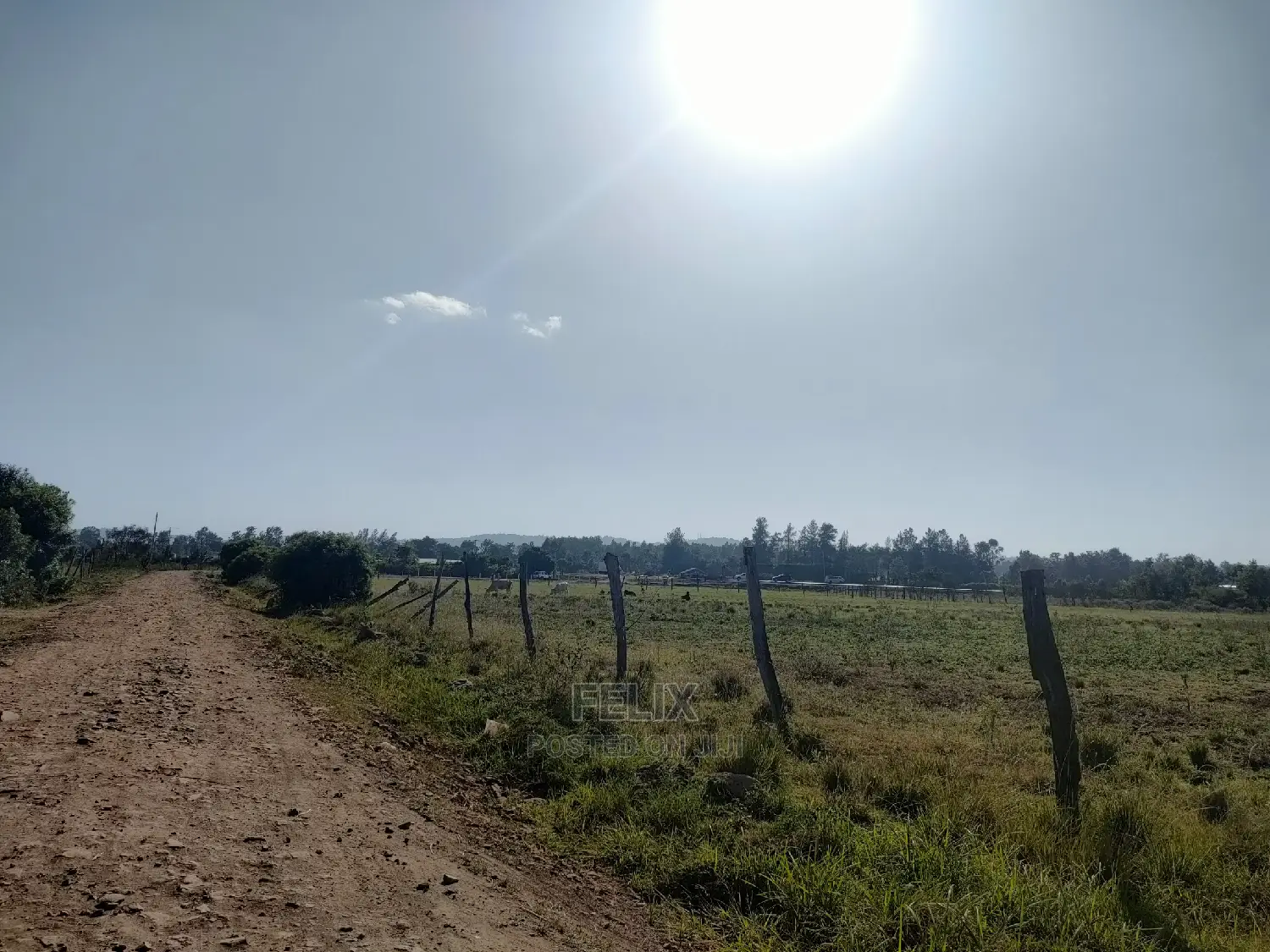 8 Acres Sagana Town