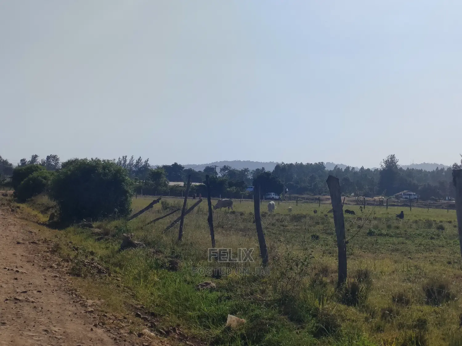 8 Acres Sagana Town