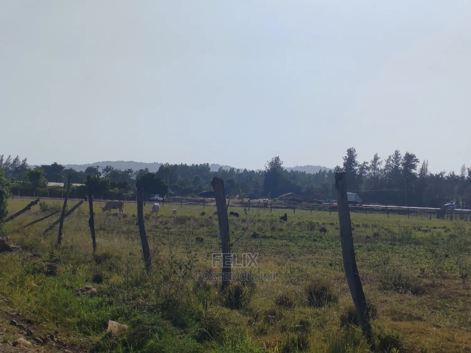 8 Acres Sagana Town