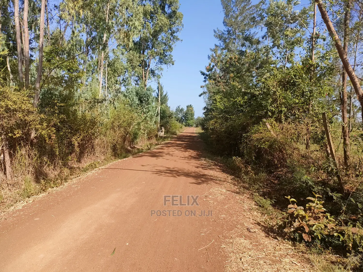 8 Acres Sagana Town