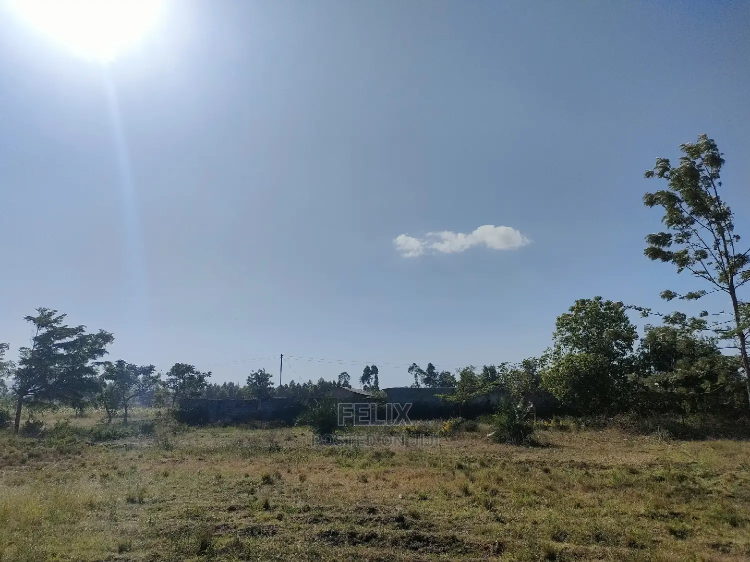 8 Acres Sagana Town