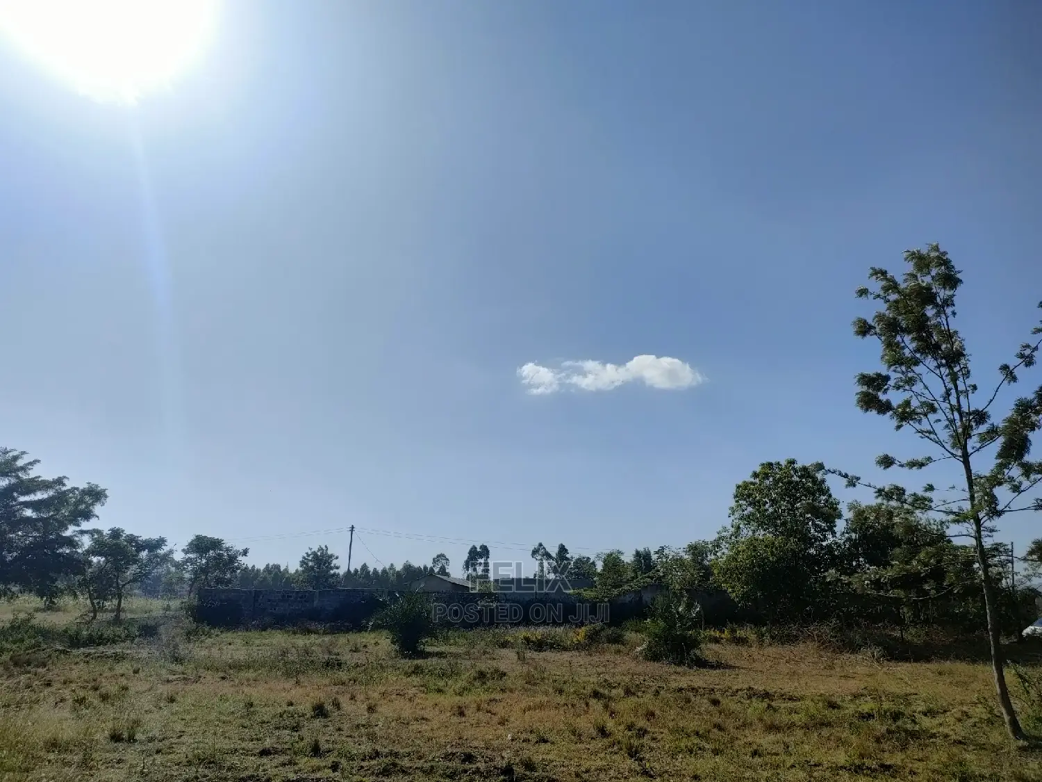 8 Acres Sagana Town