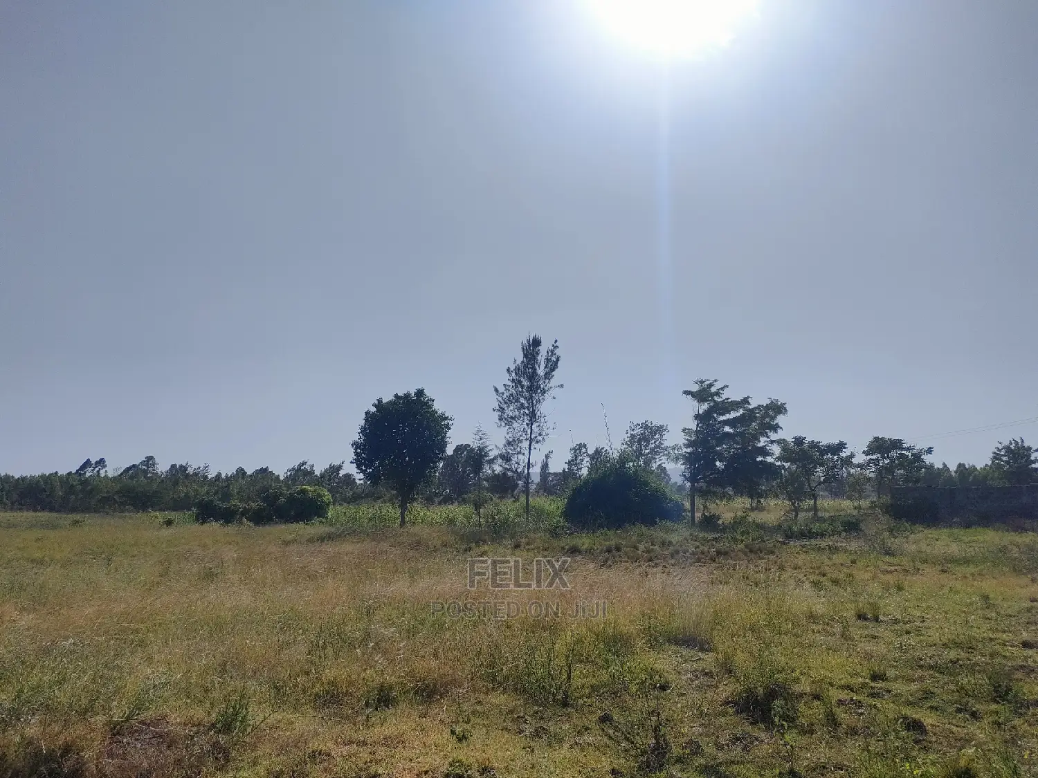 8 Acres Sagana Town