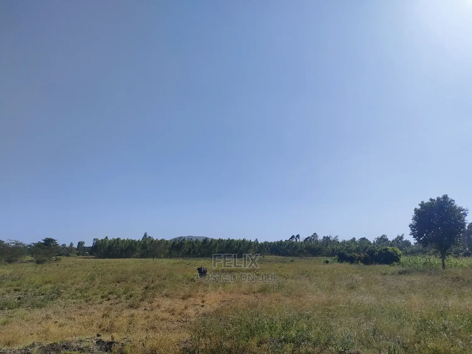 8 Acres Sagana Town