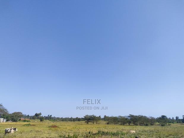 8 Acres Sagana Town - thumbnail 16