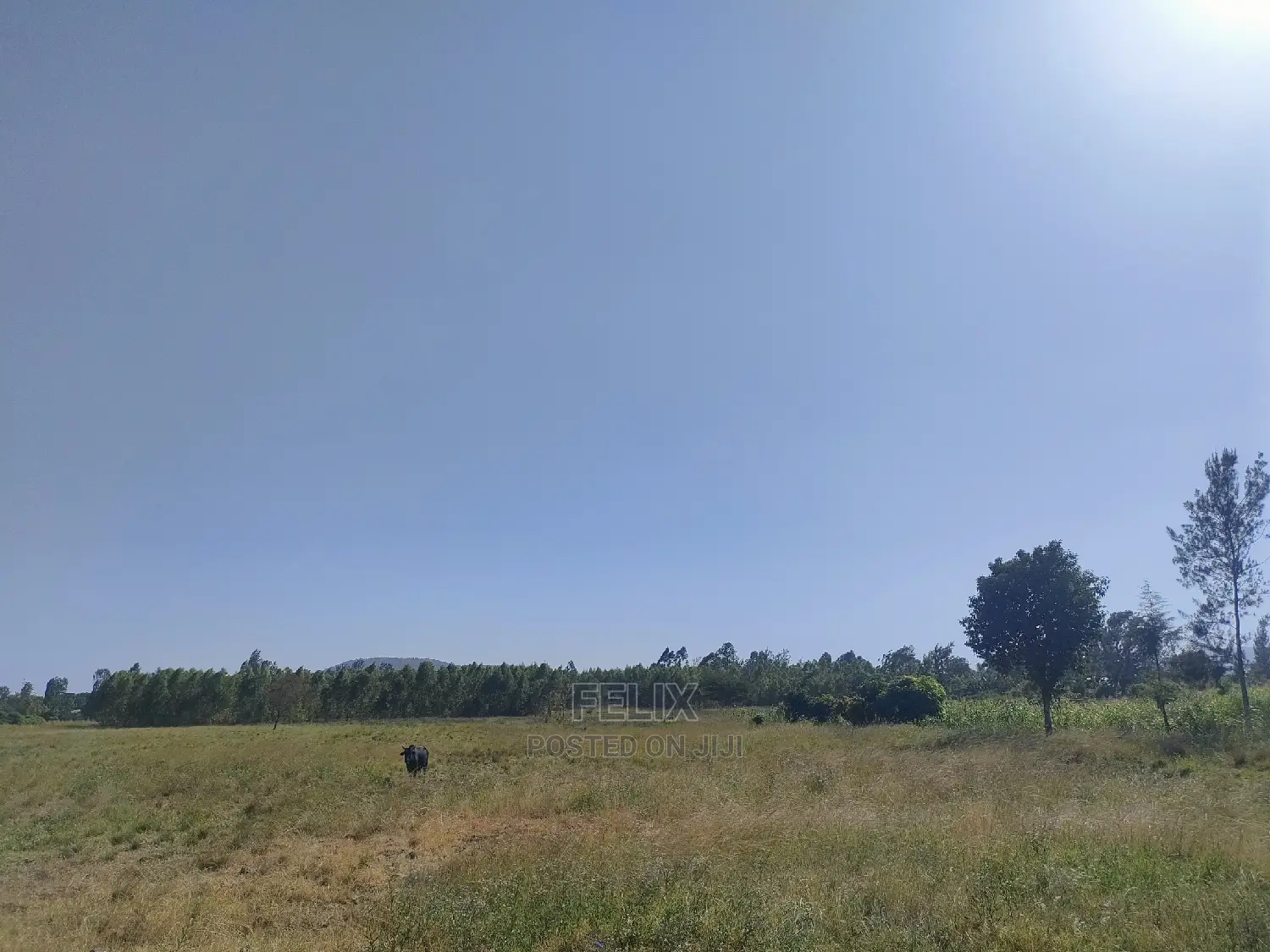 8 Acres Sagana Town