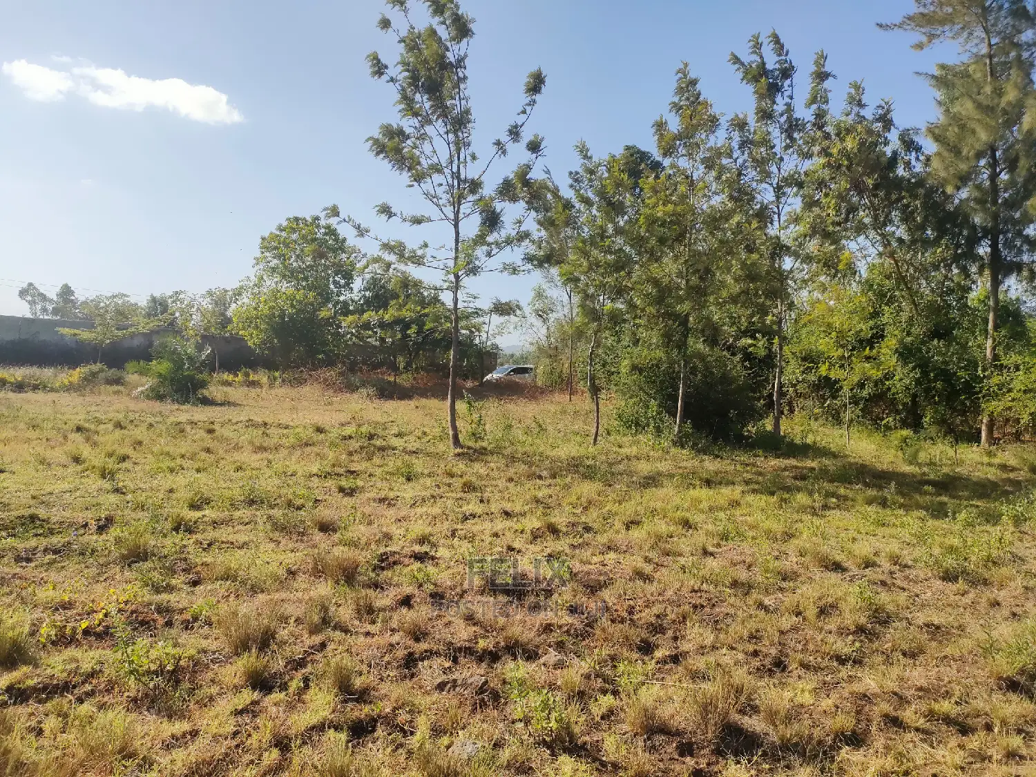 8 Acres Sagana Town