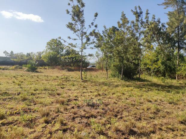 8 Acres Sagana Town - thumbnail 18