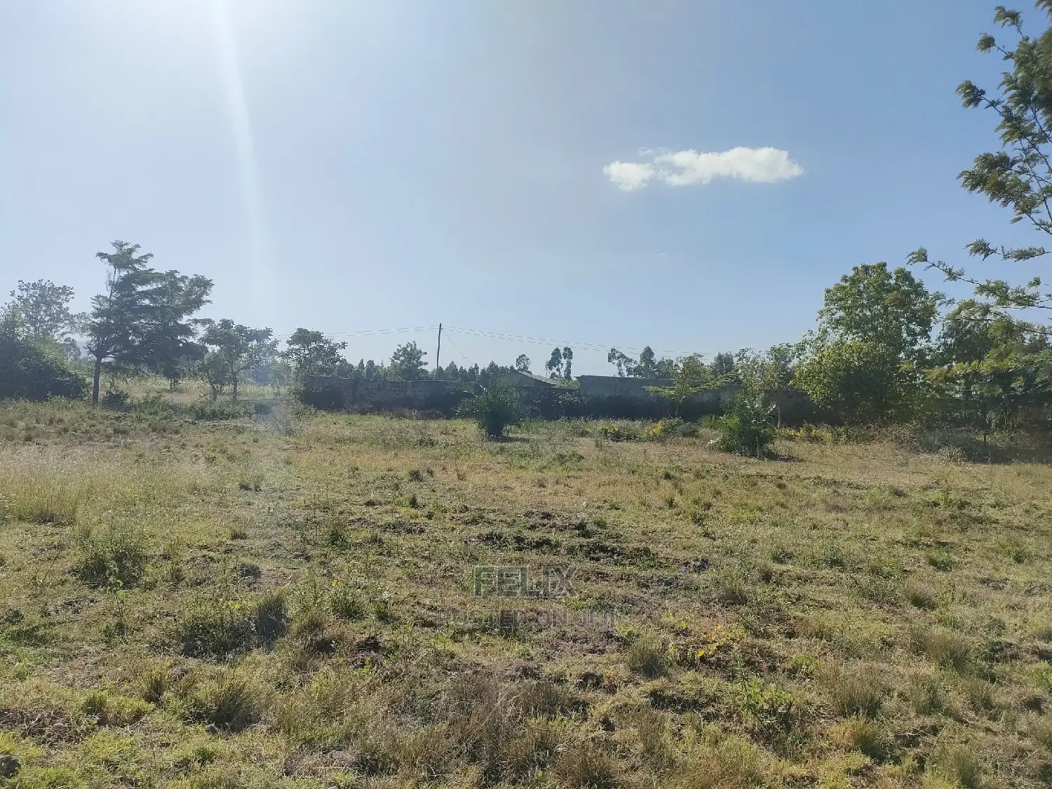 8 Acres Sagana Town