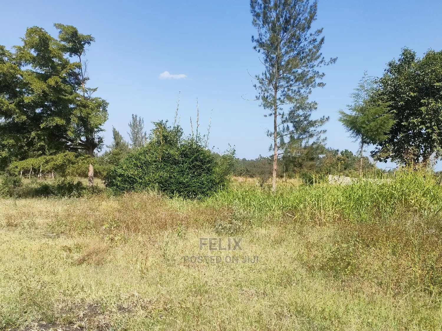 8 Acres Sagana Town