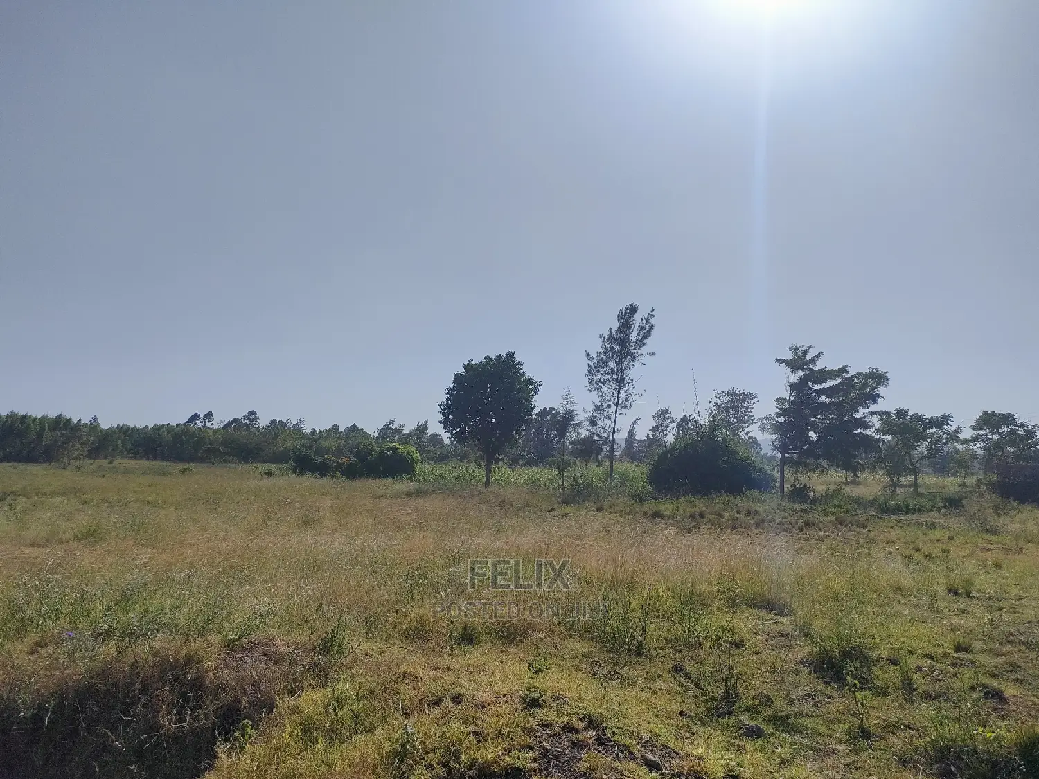 8 Acres Sagana Town