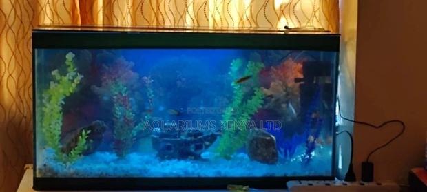 Creative Aquariums and Accessories - main view