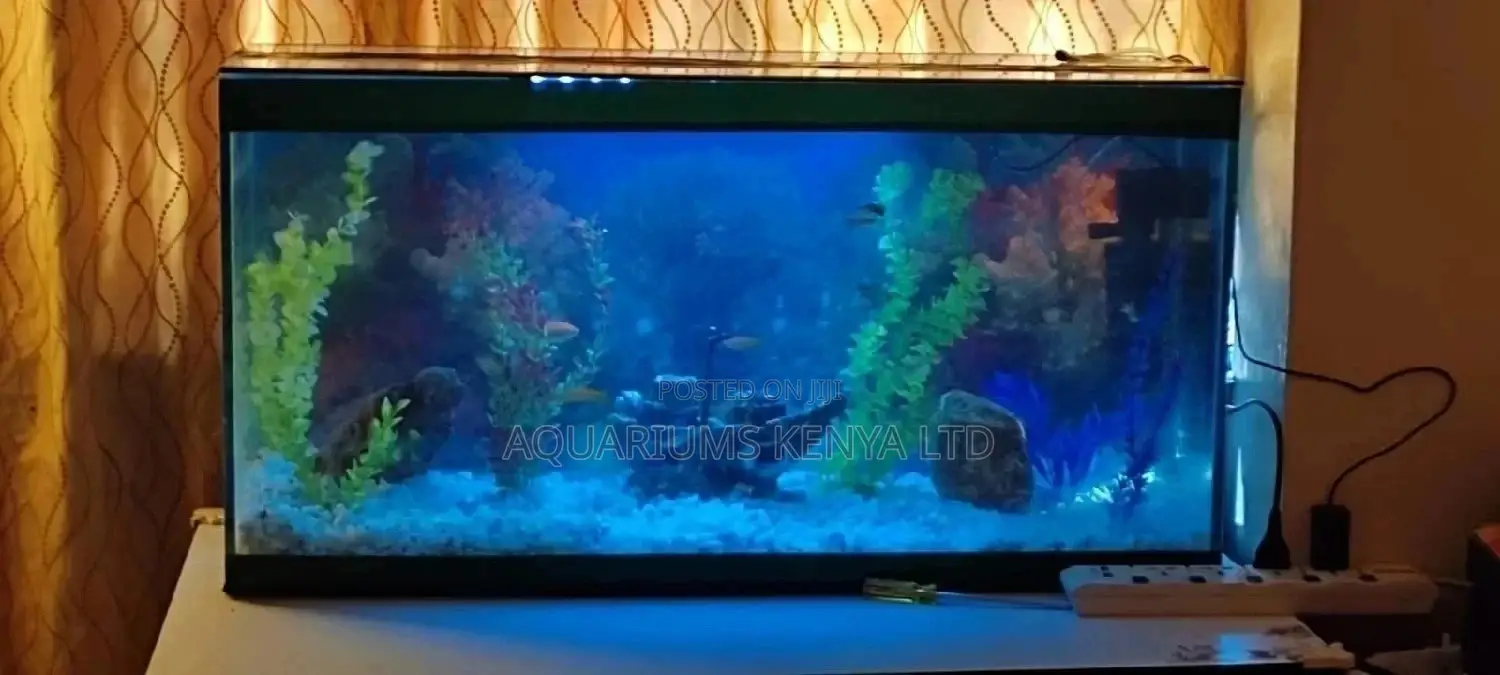 Aquarium Custom Made