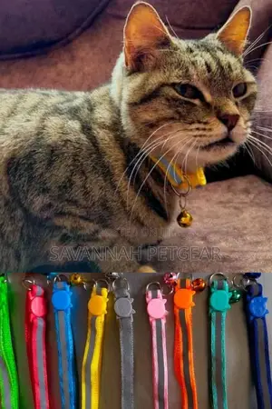 High Quality Cat Collars