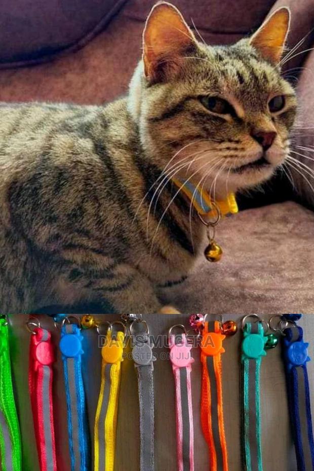 High Quality Cat Collars - thumbnail 3