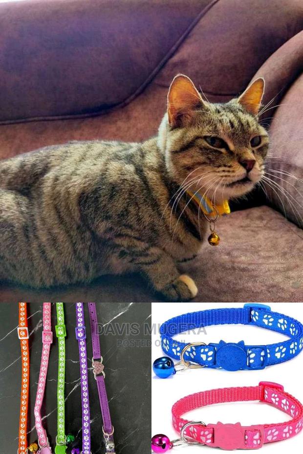 High Quality Cat Collars - thumbnail 4