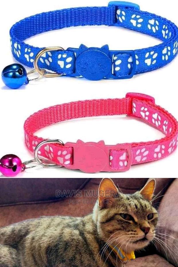 High Quality Cat Collars - main view