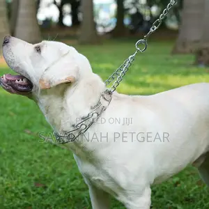 Dog Prong Collar Pinch For Training Pet Choke Collars - L