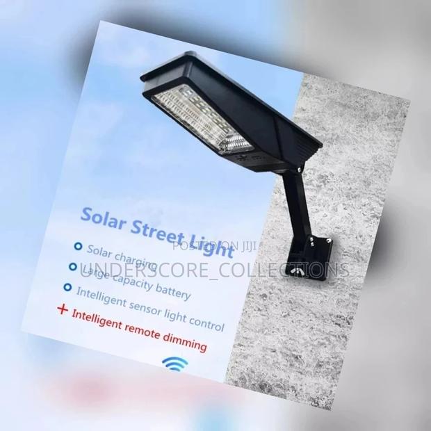 Solar Street Light - main view