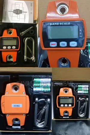 High Quality 300kg Digital Weighing Crane Scale