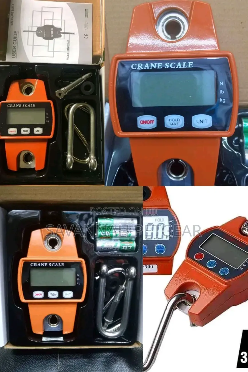 High Quality 300kg Digital Weighing Crane Scale