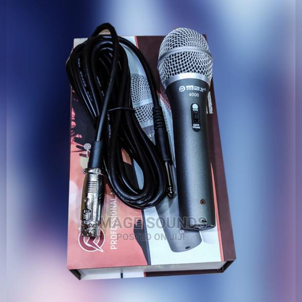 Wireless Microphone Max: 4000 - main view