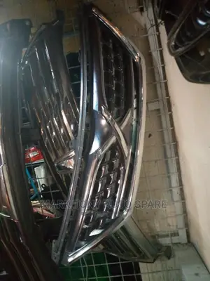 Mark X 2010 Grill