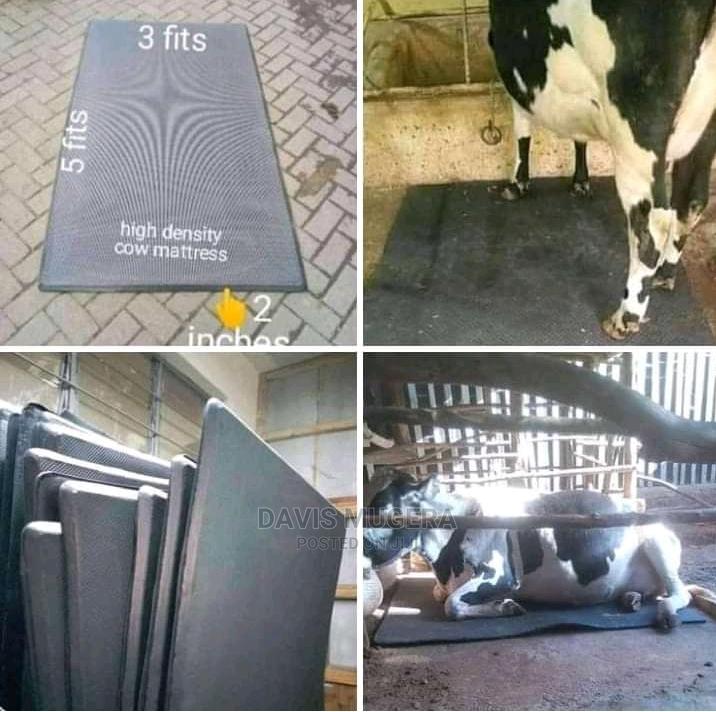 Cow Mattress Cow Mats for Comfortable and Happy Cows in Nairobi Central