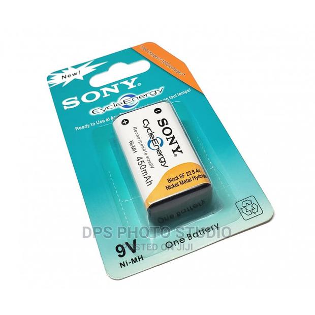 SONY Battery - main view