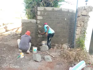 Construction/ Plastering