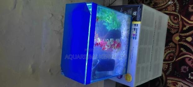 Desktop Aquariums,10L Aquarium - main view
