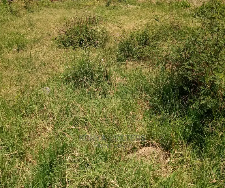 1.5 Acres for Sale in Laikipia(Ngobit Supuko BLK 3)