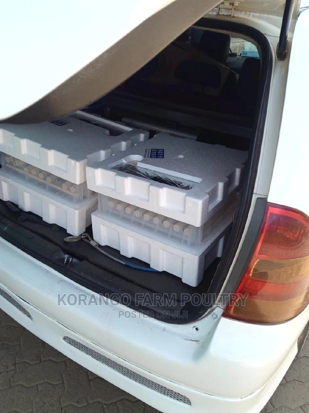 Solar Automatic 104 Ac/Dc Eggs Incubator - thumbnail 3