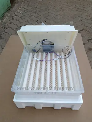 Solar Automatic 104 Ac/Dc Eggs Incubator
