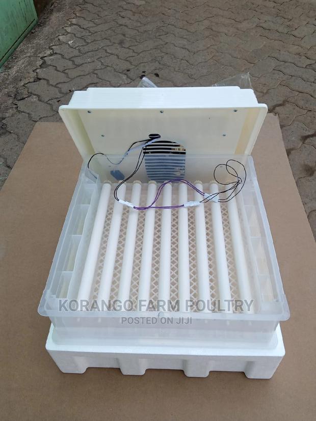 Solar Automatic 104 Ac/Dc Eggs Incubator - thumbnail 4