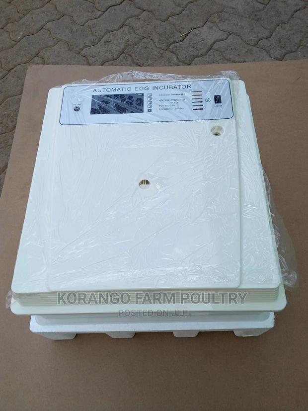 Solar Automatic 104 Ac/Dc Eggs Incubator - thumbnail 5
