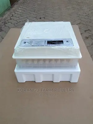 Solar Automatic 104 Ac/Dc Eggs Incubator