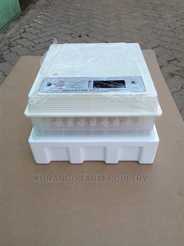 Solar Automatic 104 Ac/Dc Eggs Incubator - main view