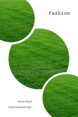 Kikuyu Grass Lawn Grass in 1kg Pack