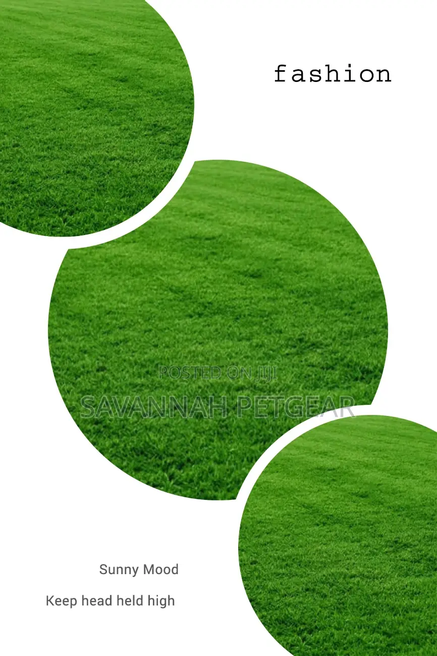 Kikuyu Grass Lawn Grass in 1kg Pack